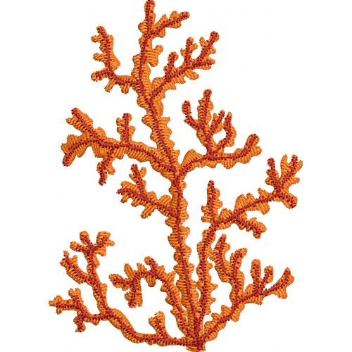 Tree 16f coral