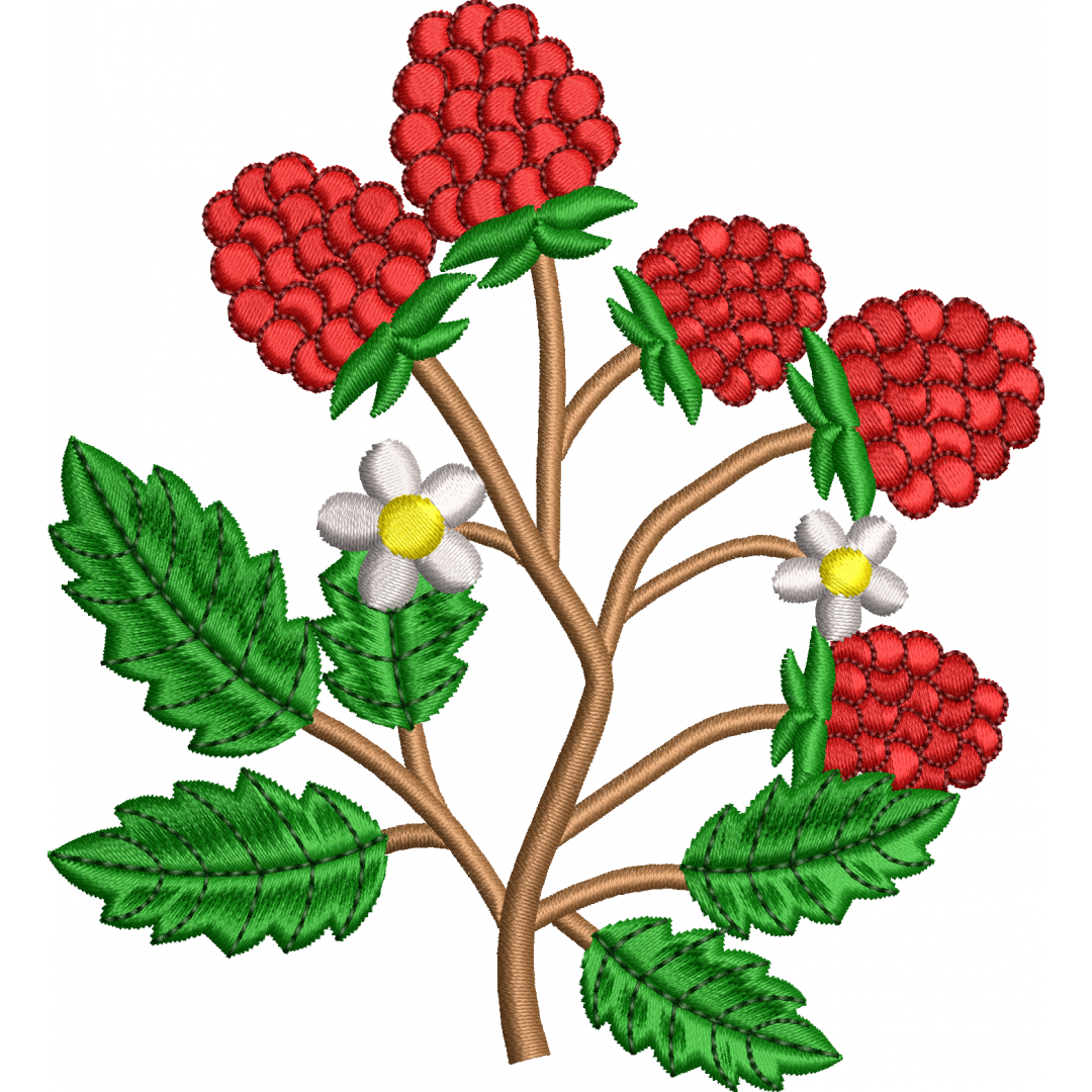 Raspberry embroidery design 1f