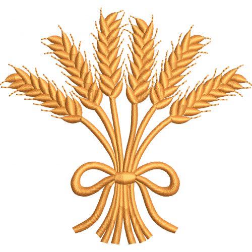 Wheat spike 16f