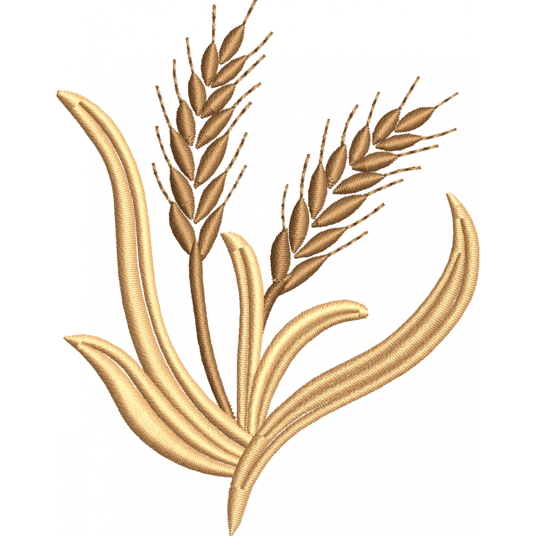 Wheat spike 5f dual