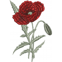 Poppy flower embroidery design