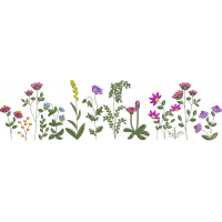 Flower field embroidery design 165f