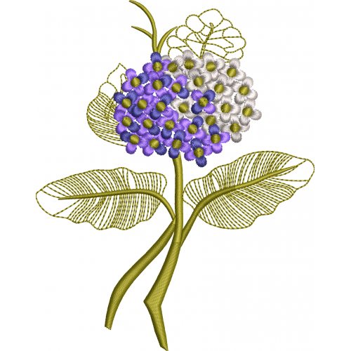 Flower hydrangea 34f
