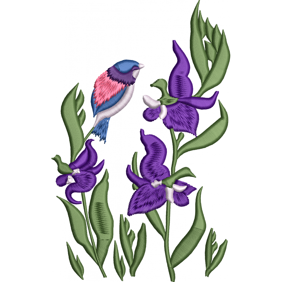 Flower 53f sparrowhawk
