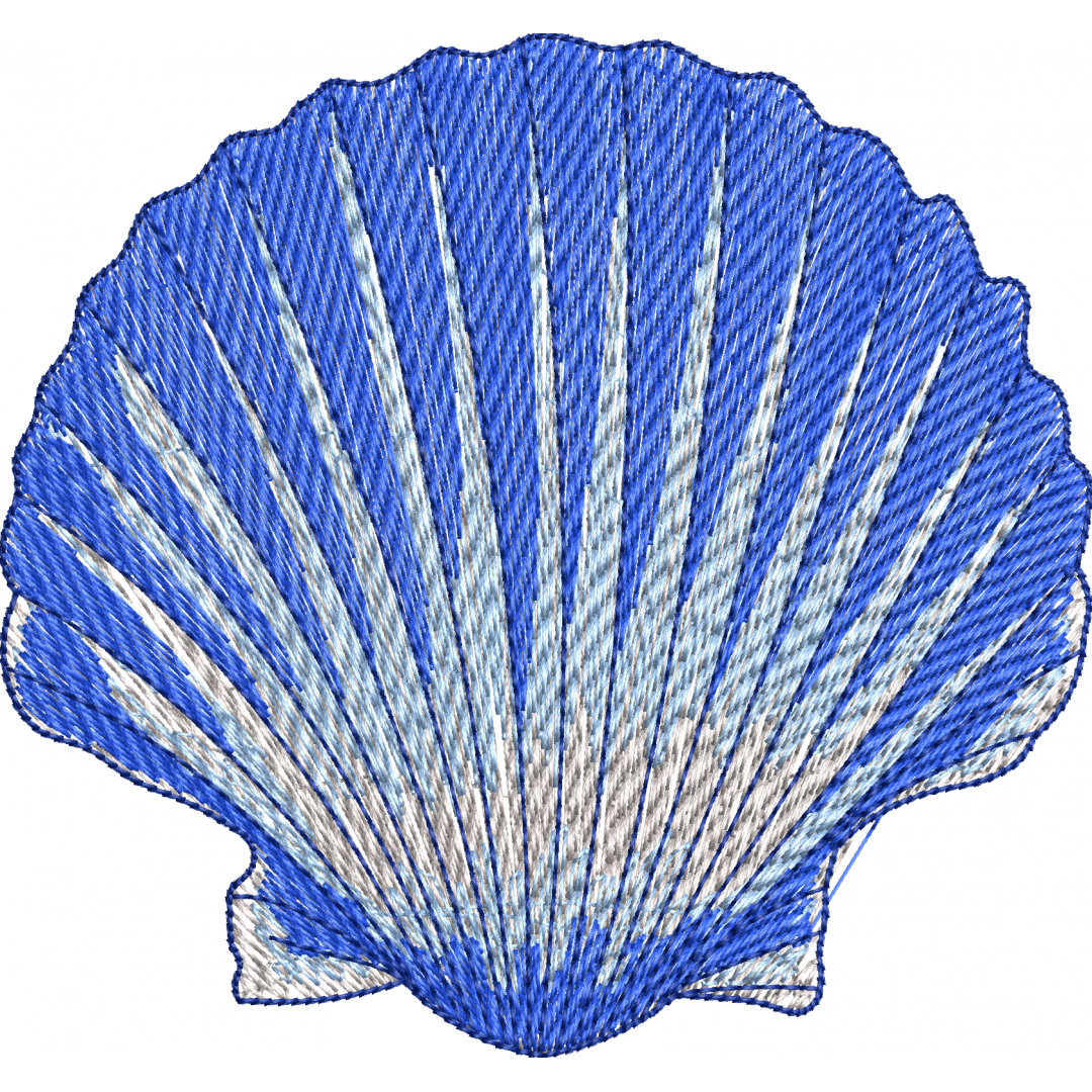 Seashell 3f