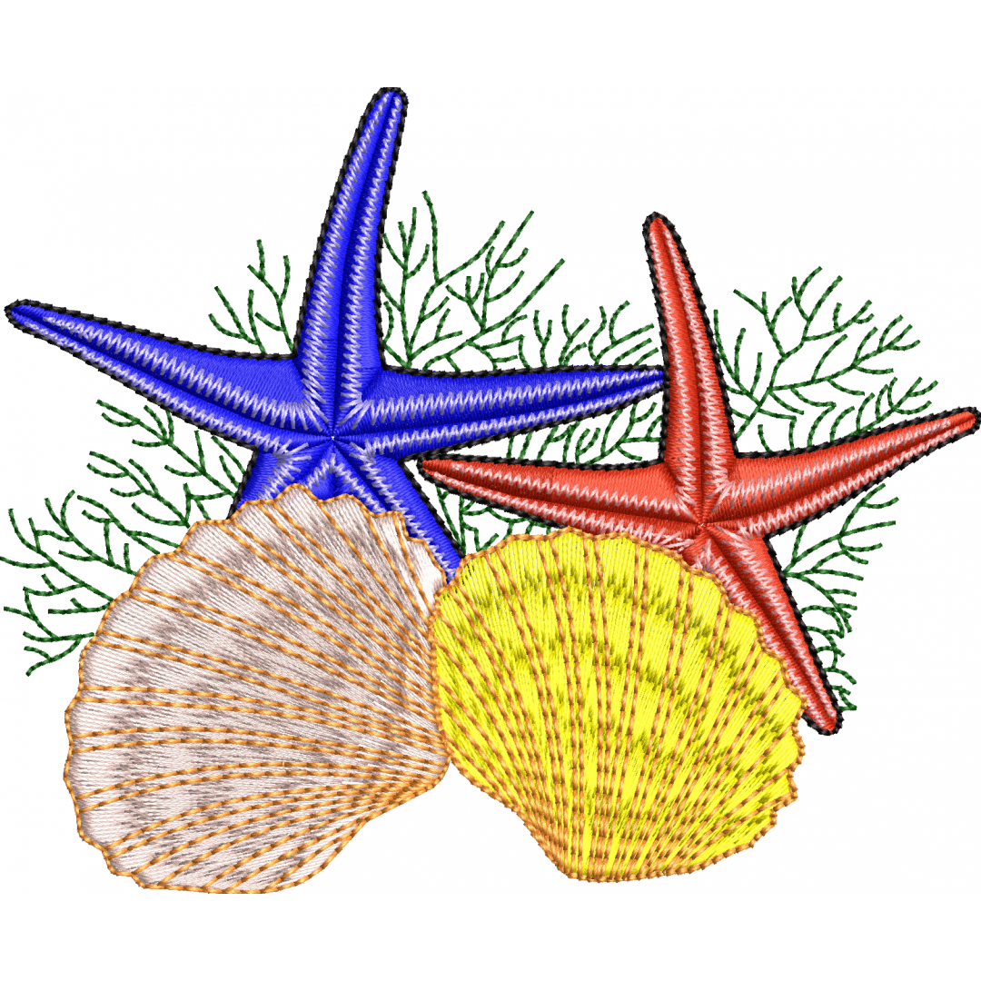 Starfish 1f seashell