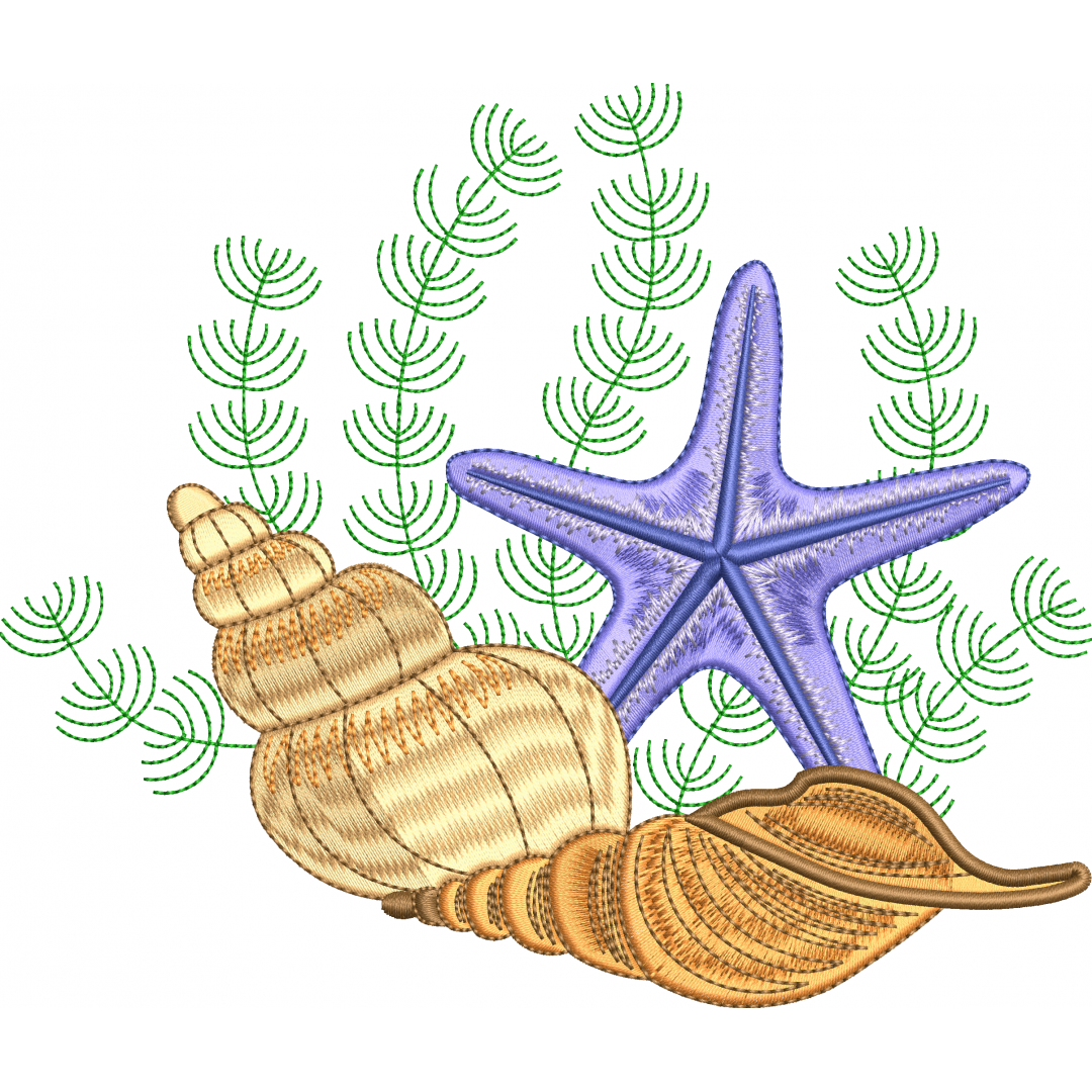 Starfish 3f snail