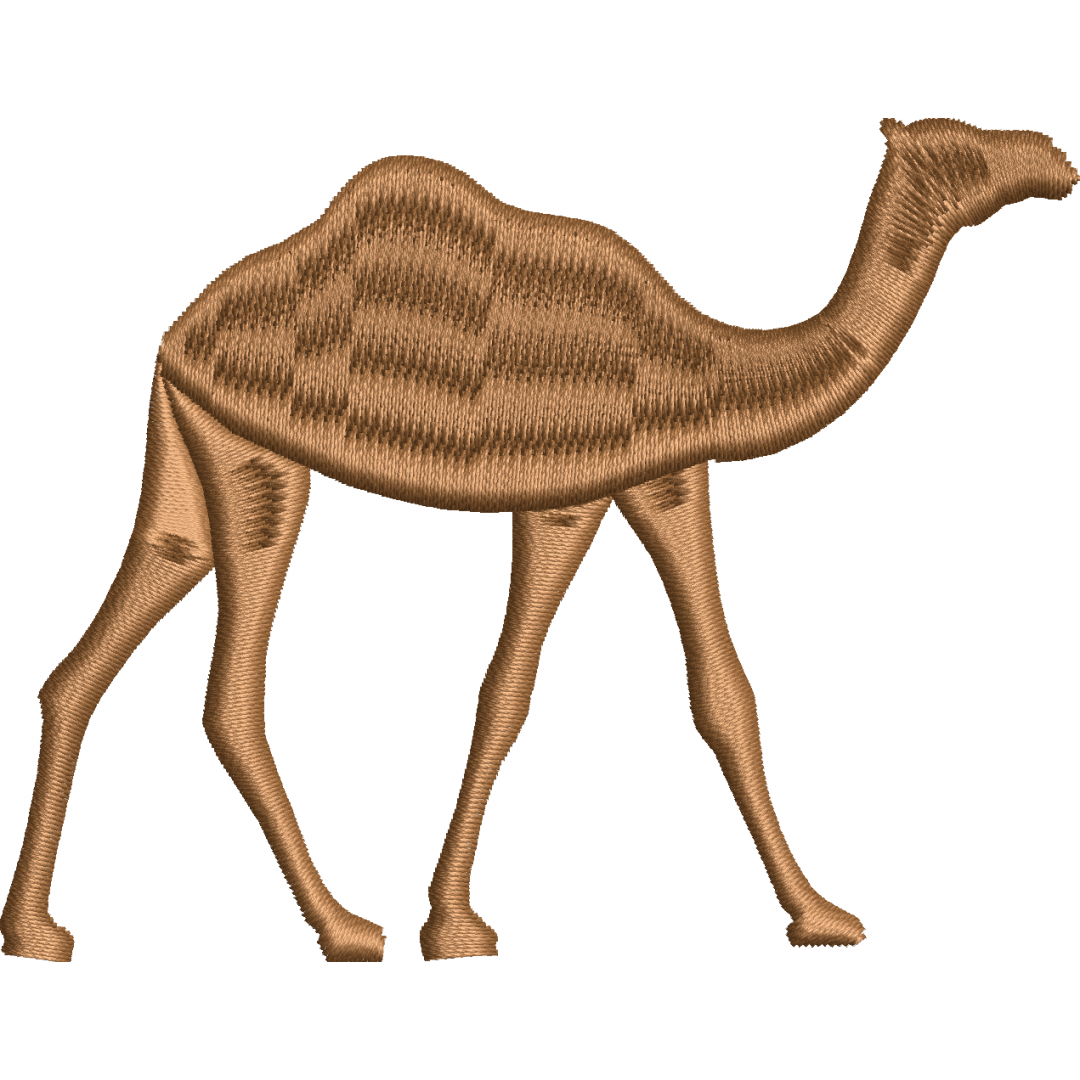 Camel 1f