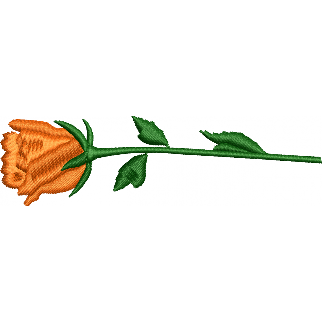 Rose 2f flower