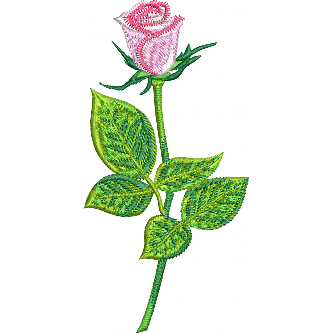 Rose 6f single