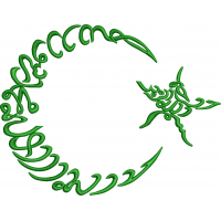 1F moon star in arabic calligraphy