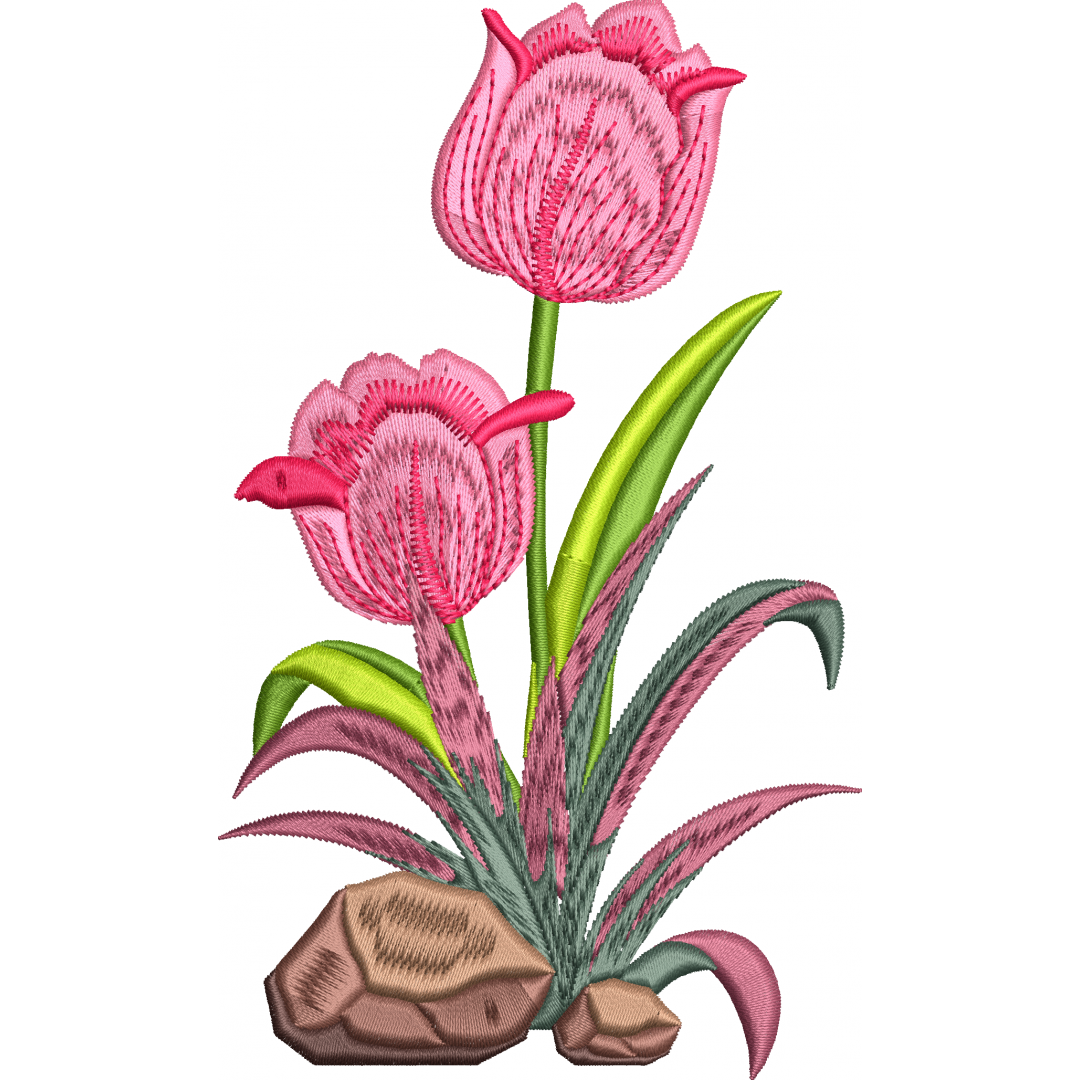 Tulip 3f pink