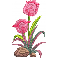 Tulip 3f pink