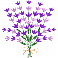 Lavender 4f