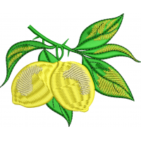 1f pair of lemons