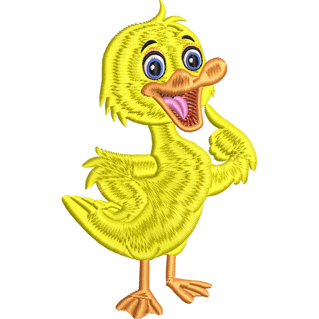 Duck 2f chick