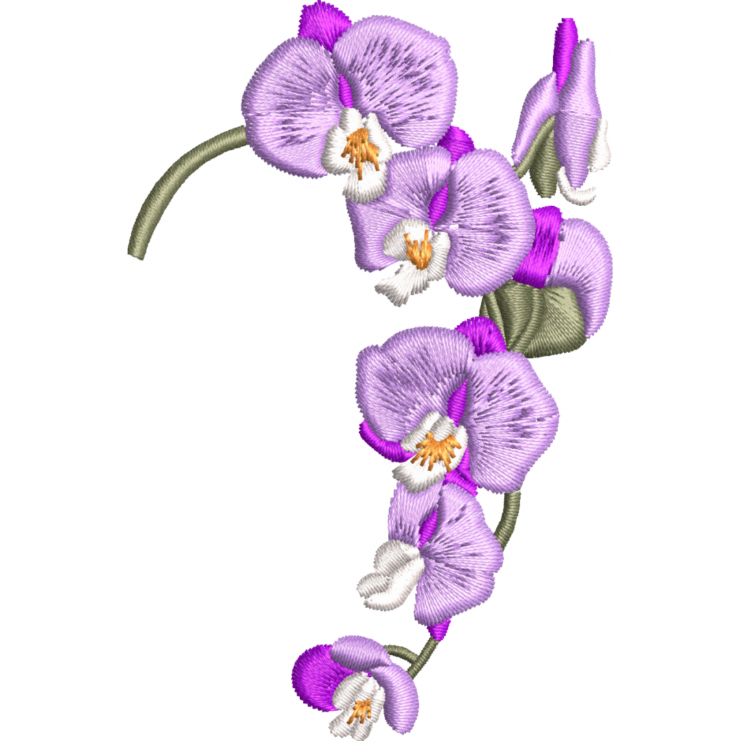 Orchid 2f purple