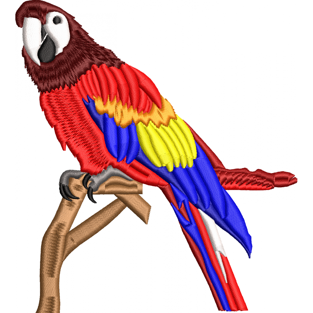 Parrot 3f