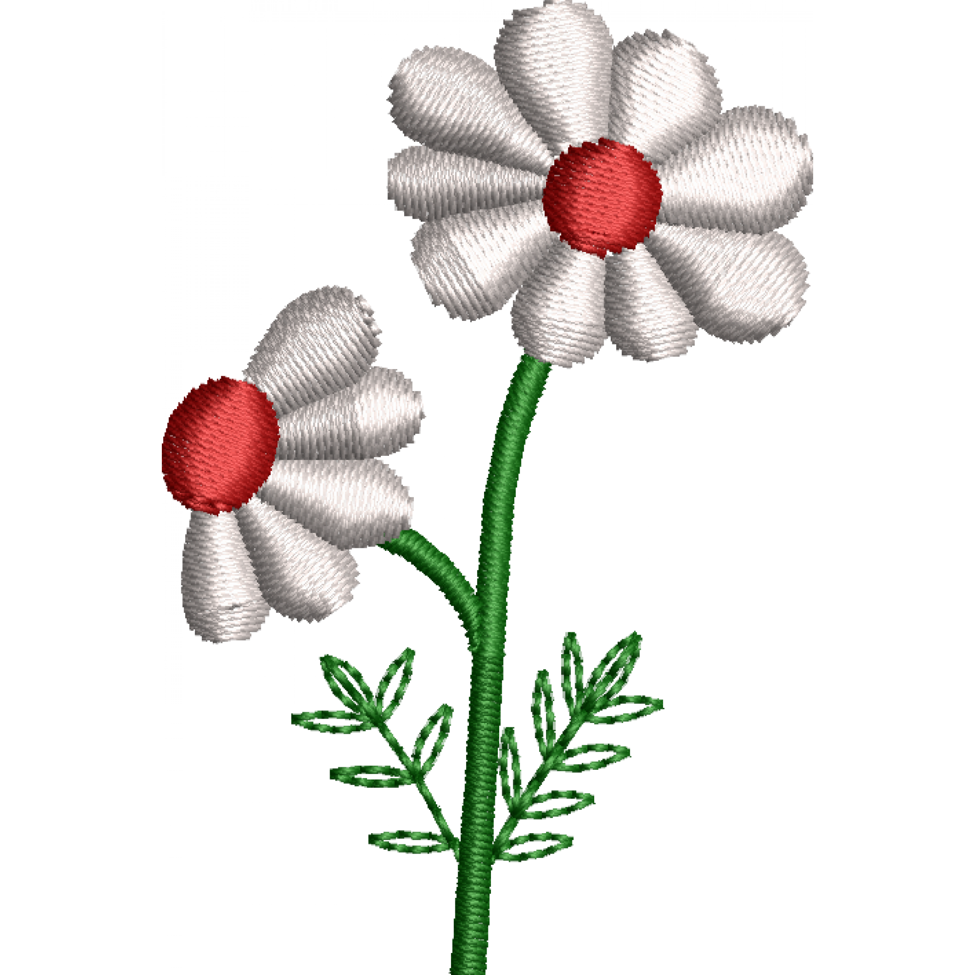 Daisy flower embroidery design