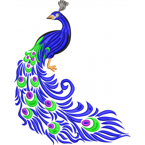 Peacock 1f