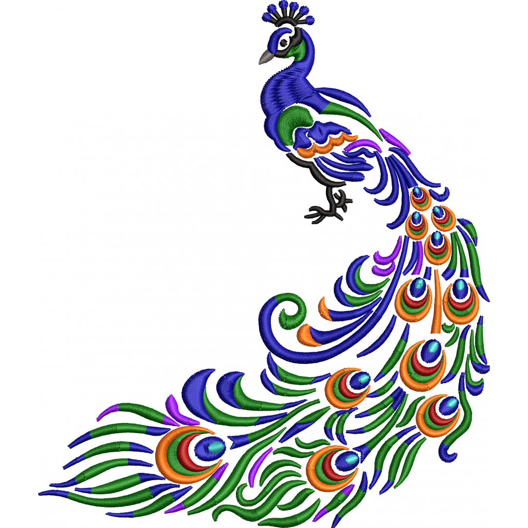 Peacock 2f