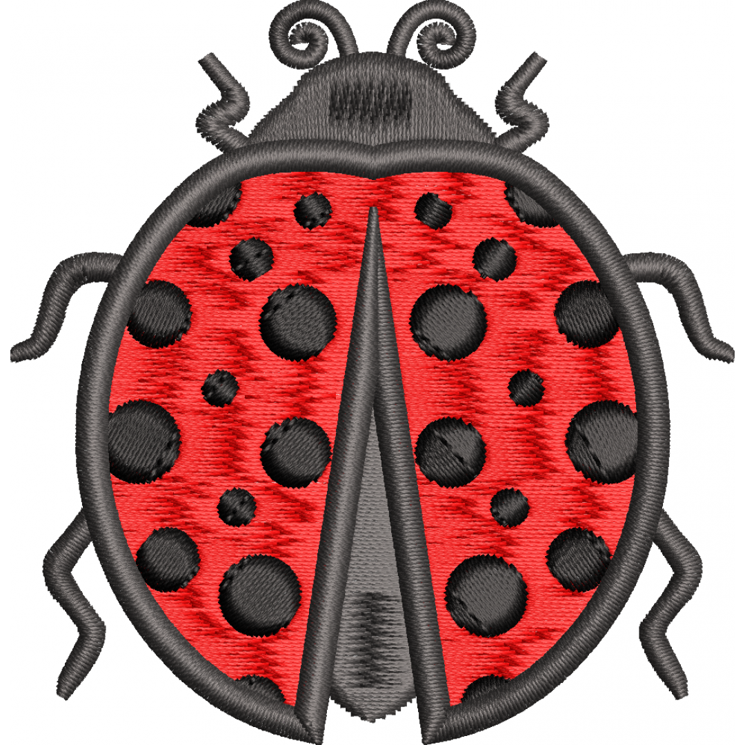 Ladybug 2f