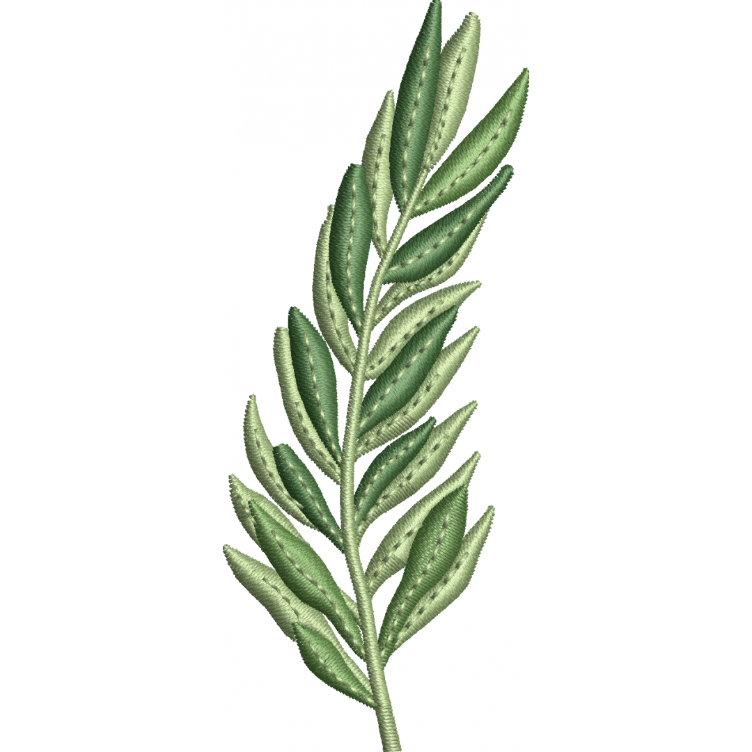 Olive branch leaf embroidery design 32f