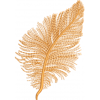 Leaf-Feather embroidery design 37f