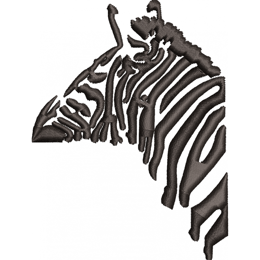 Zebra 1f