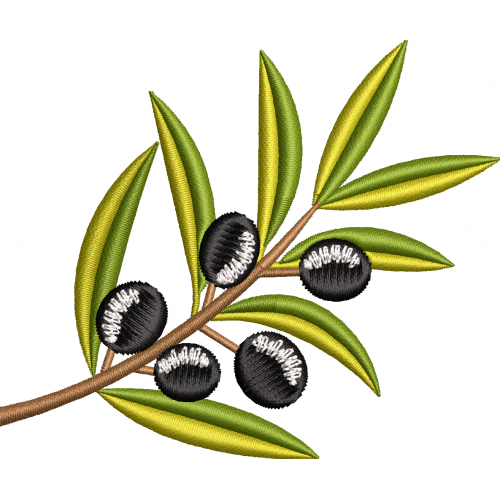 Olive 2f olive branch