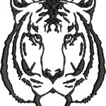 Aslan 2f