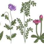 Flower field embroidery design 165f
