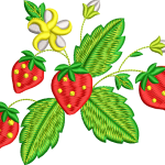 Strawberry 2f