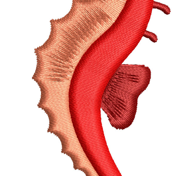 Sea horse 1f