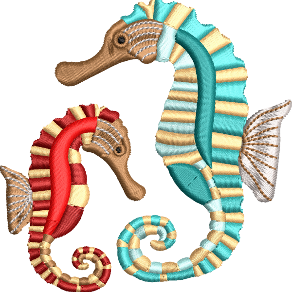Sea horse 2f