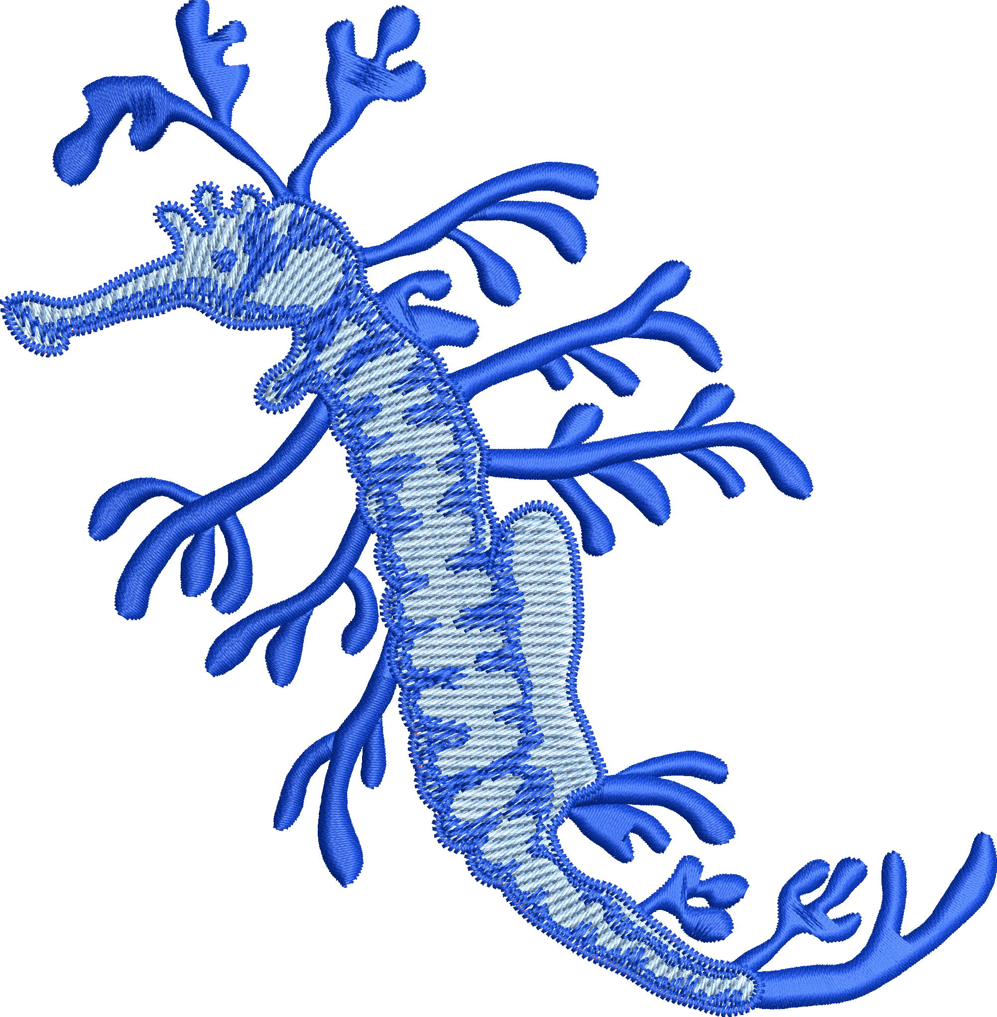 Sea horse 5f
