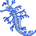 Sea horse 5f