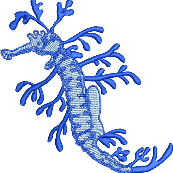 Sea horse 5f
