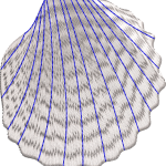 Sea shell 1f