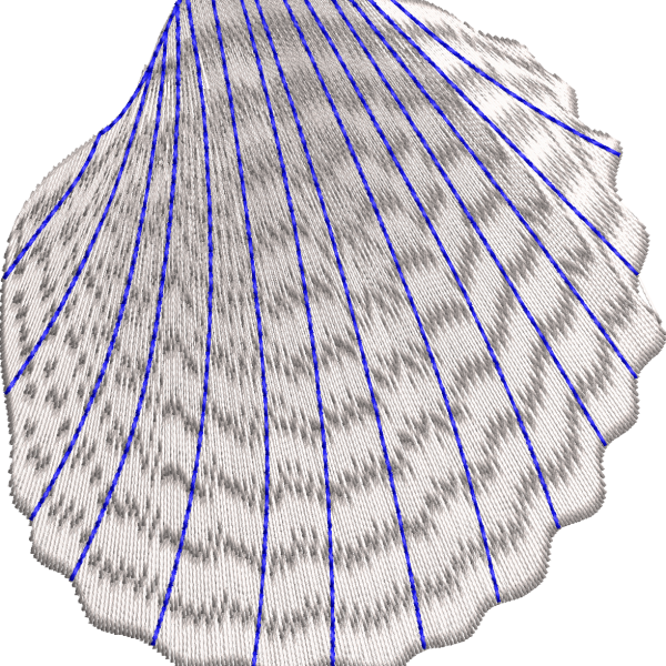 Sea shell 1f