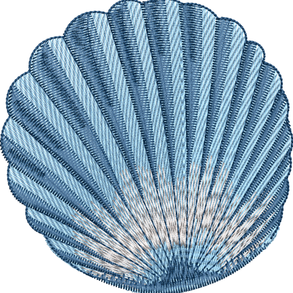 Seashell 2f oysters