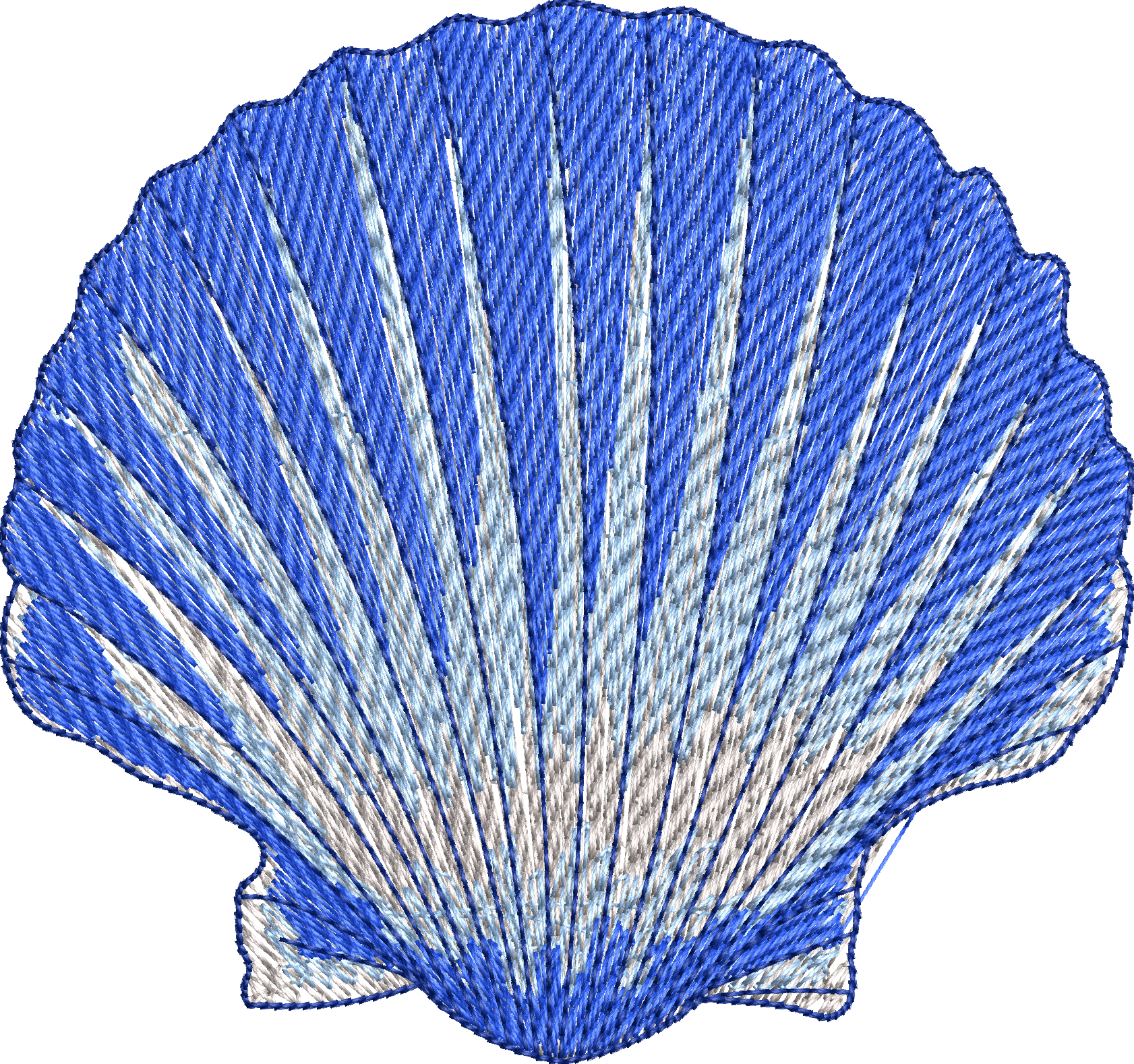 Seashell 3f