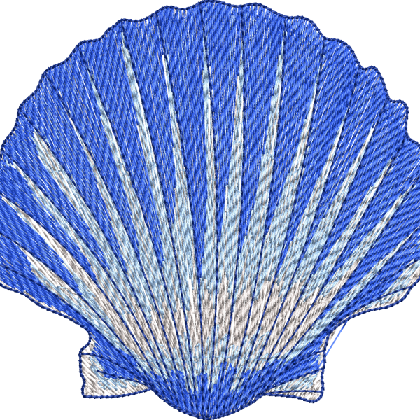 Seashell 3f