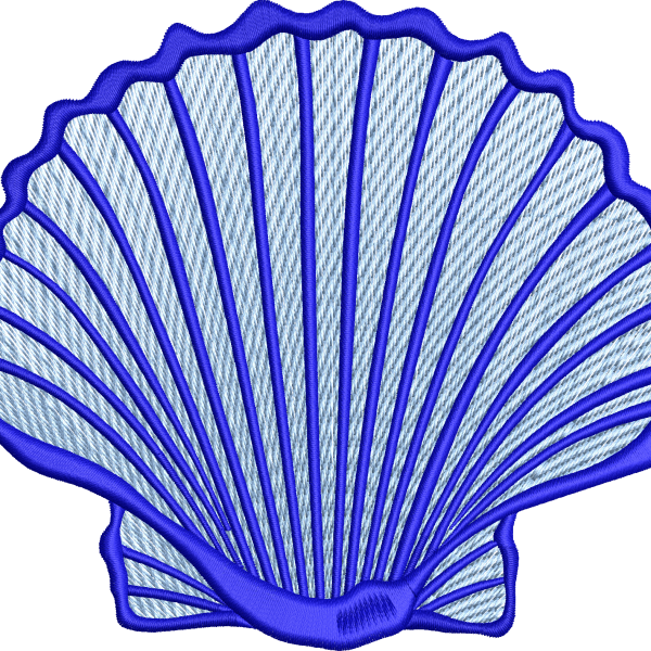 Seashell 4f