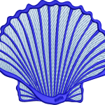 Seashell 4f