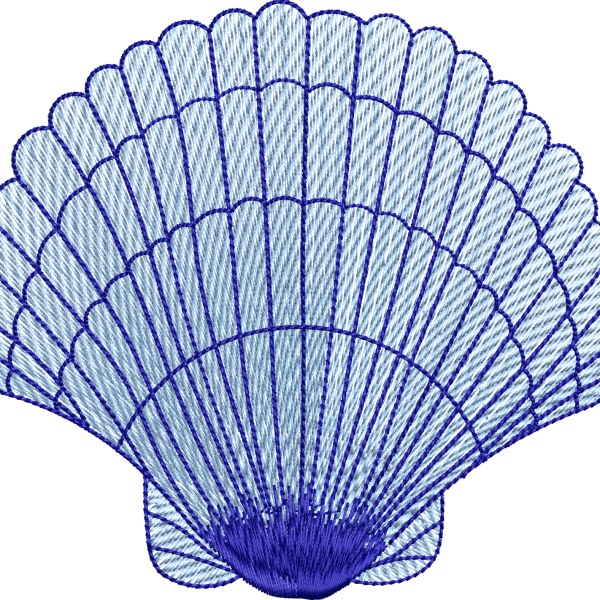 Seashell 6f