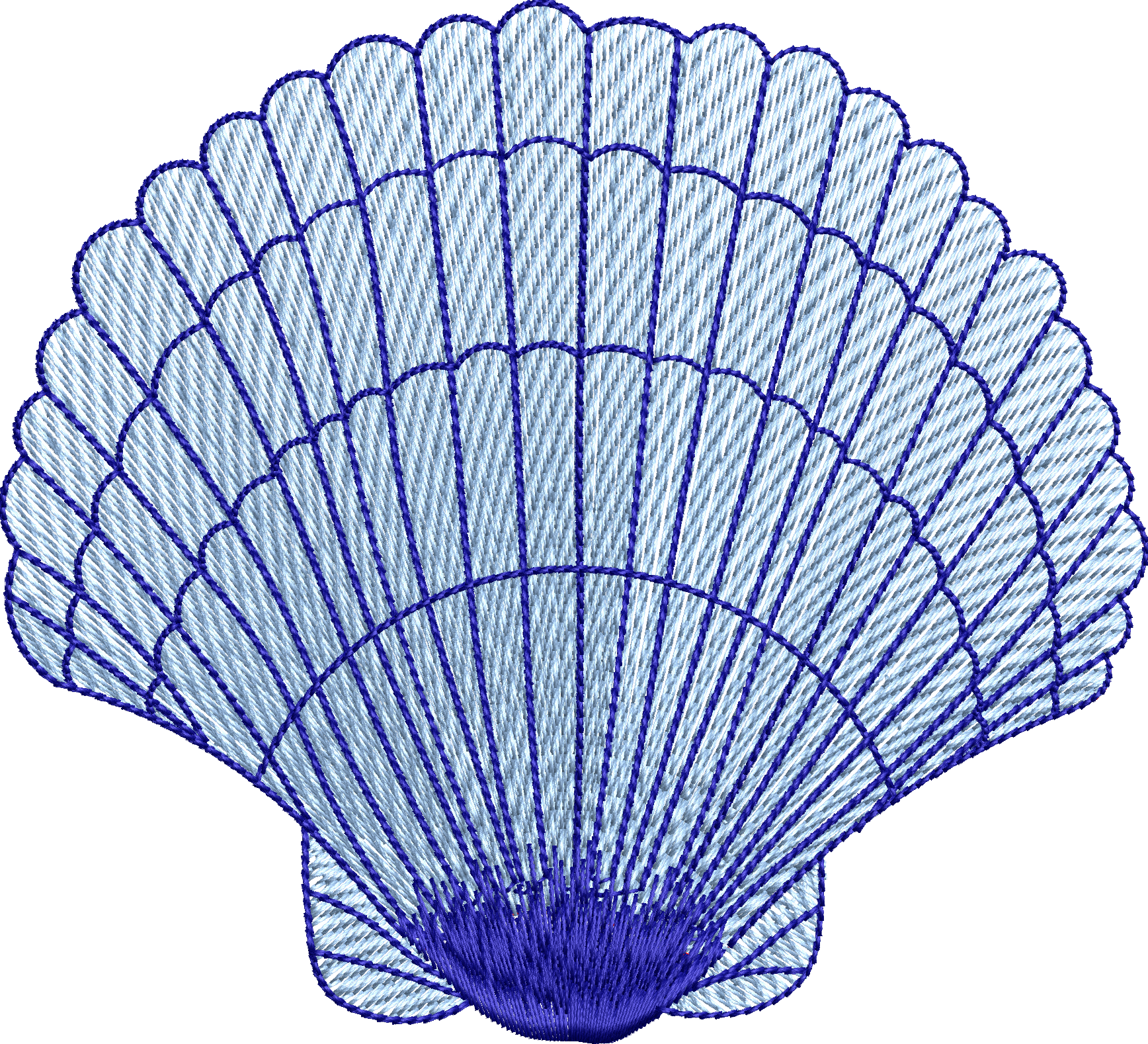 Deniz kabuğu 6f