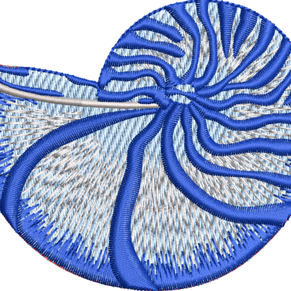 Seashell 8f