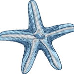 Starfish 5f