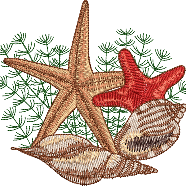 Starfish 8f
